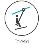 Teleski applications